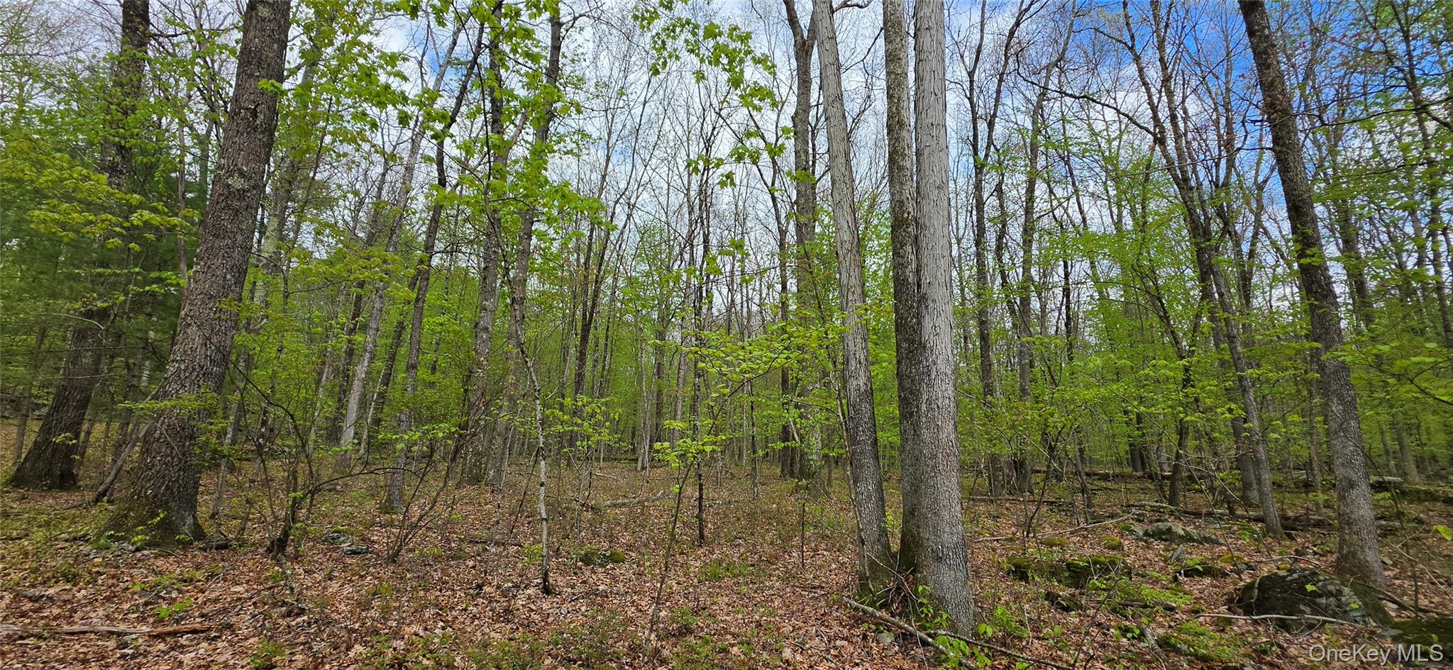 Lot 23.21 State Route 97 Property Photo 6