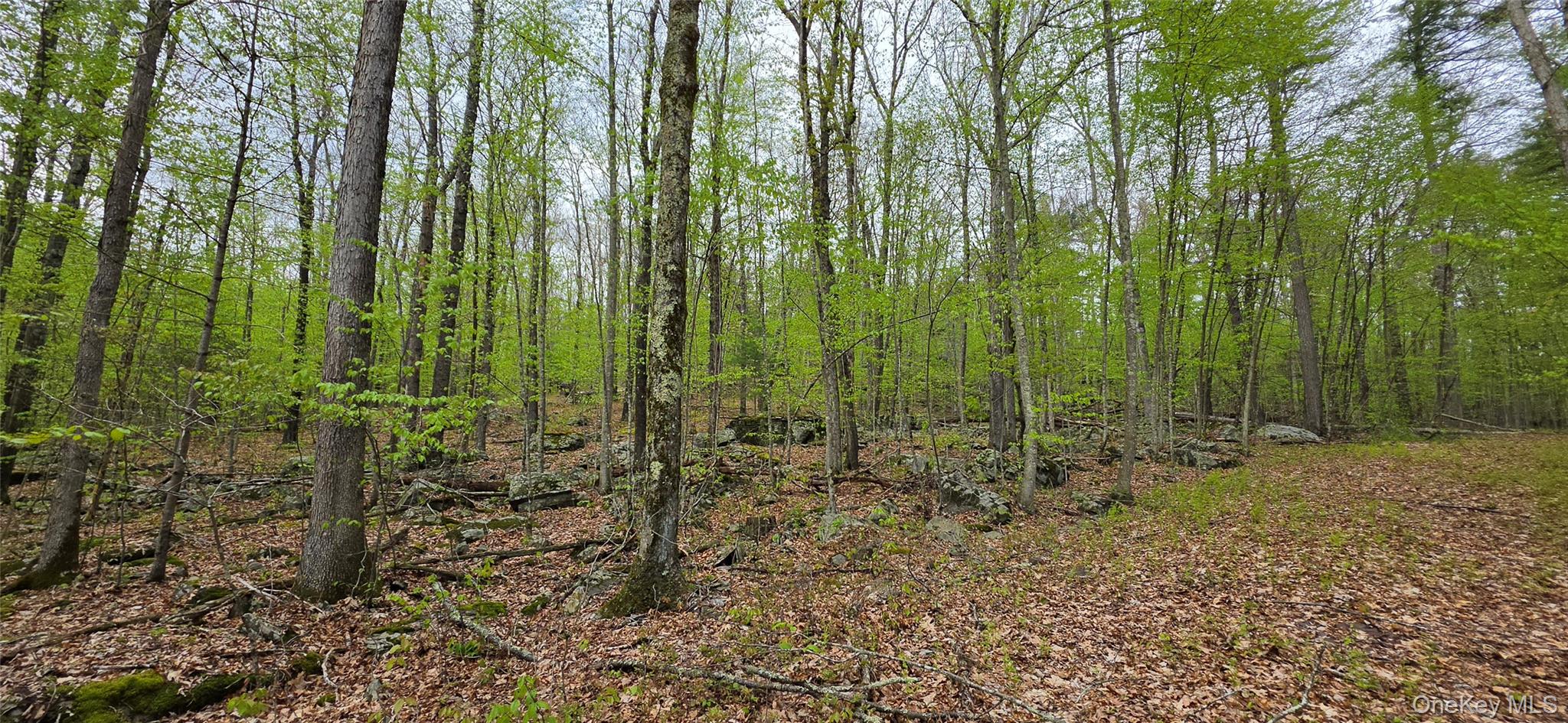 Lot 23.21 State Route 97 Property Photo 7