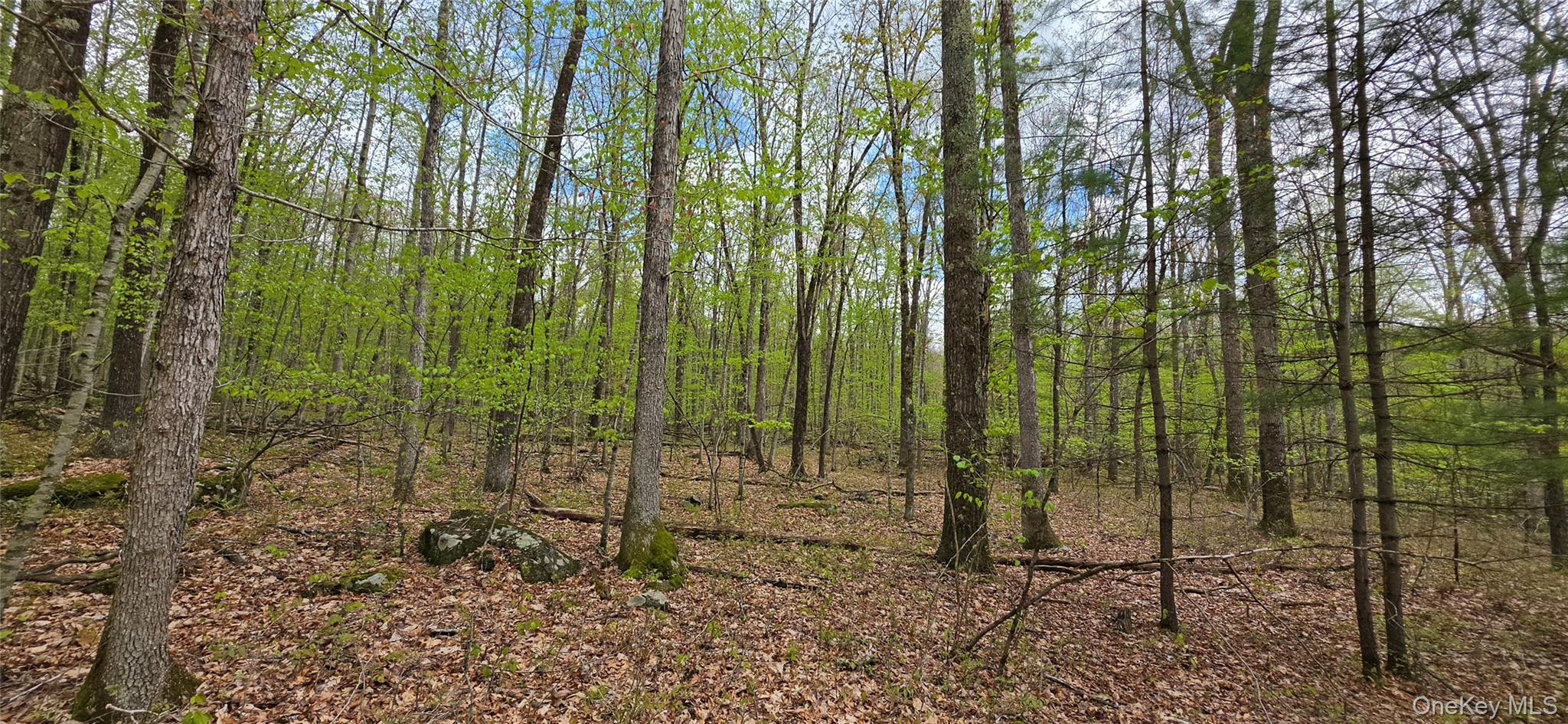 Lot 23.21 State Route 97 Property Photo 8