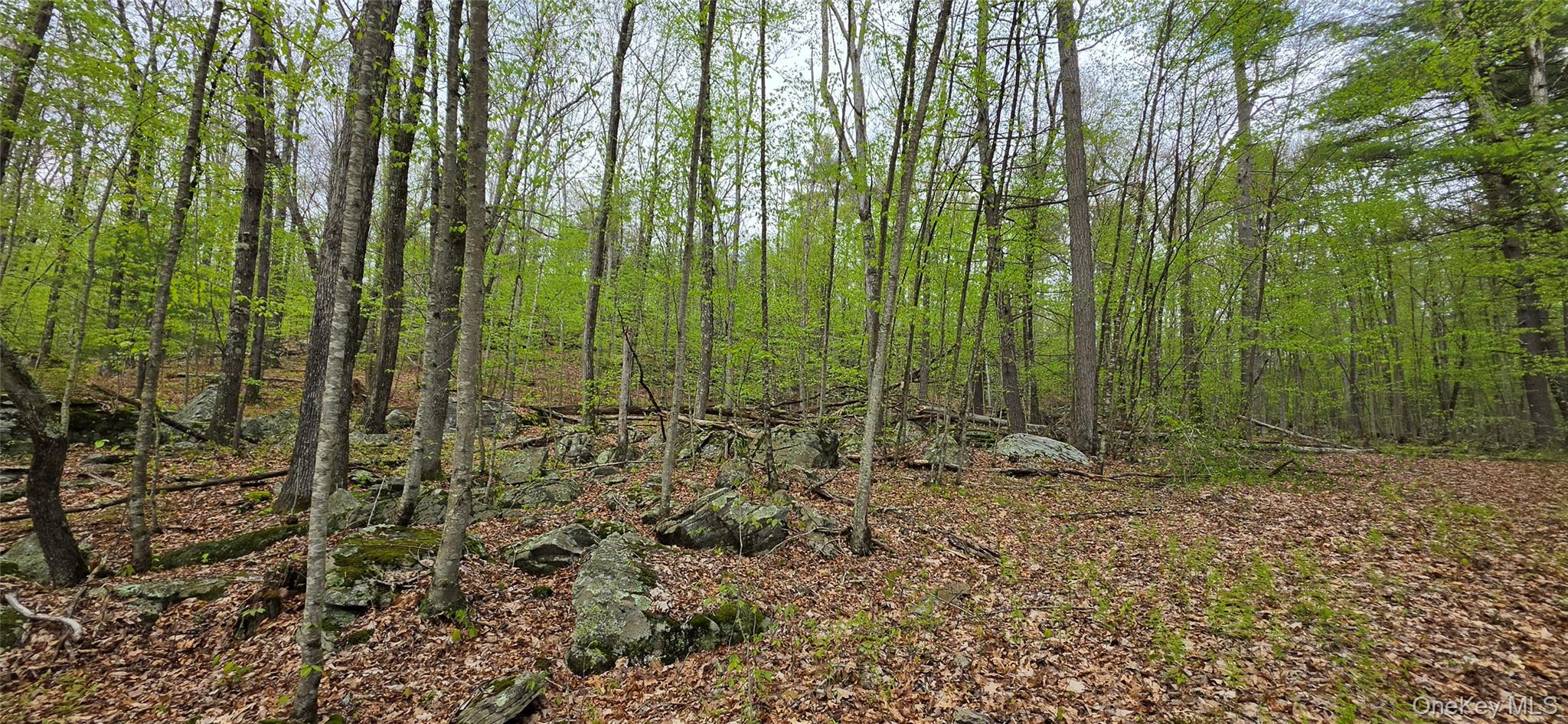 Lot 23.21 State Route 97 Property Photo 9