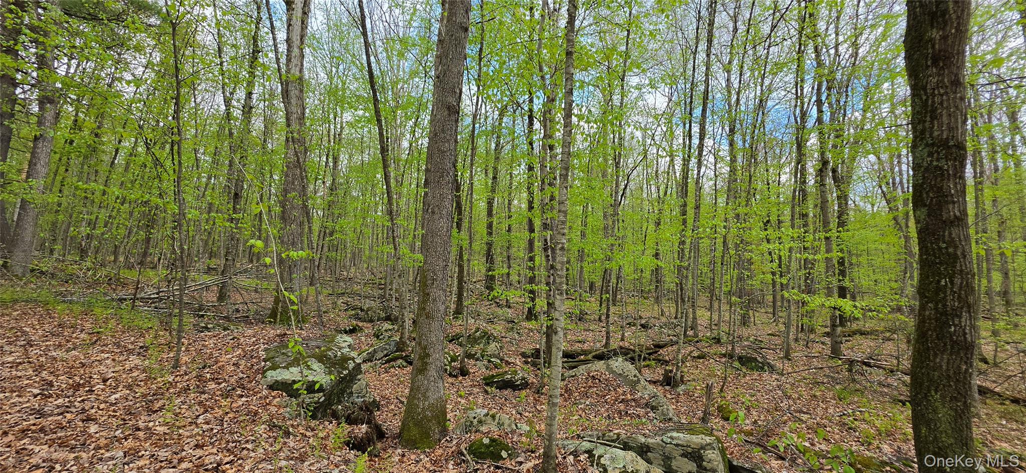 Lot 23.21 State Route 97 Property Photo 10