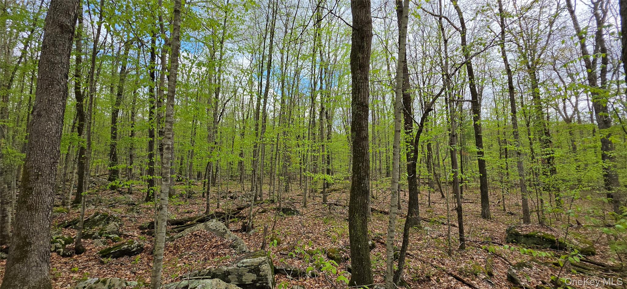 Lot 23.21 State Route 97 Property Photo 11