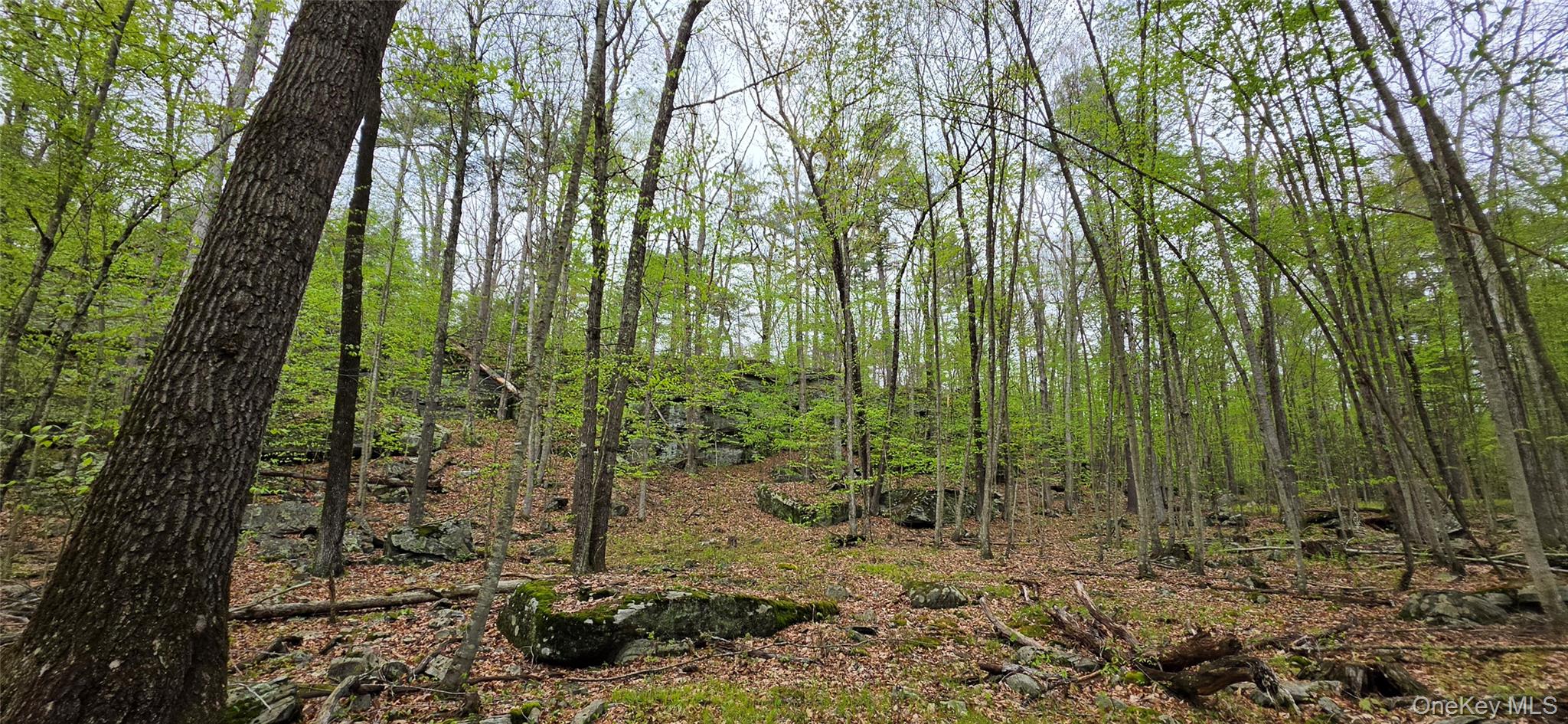 Lot 23.21 State Route 97 Property Photo 12