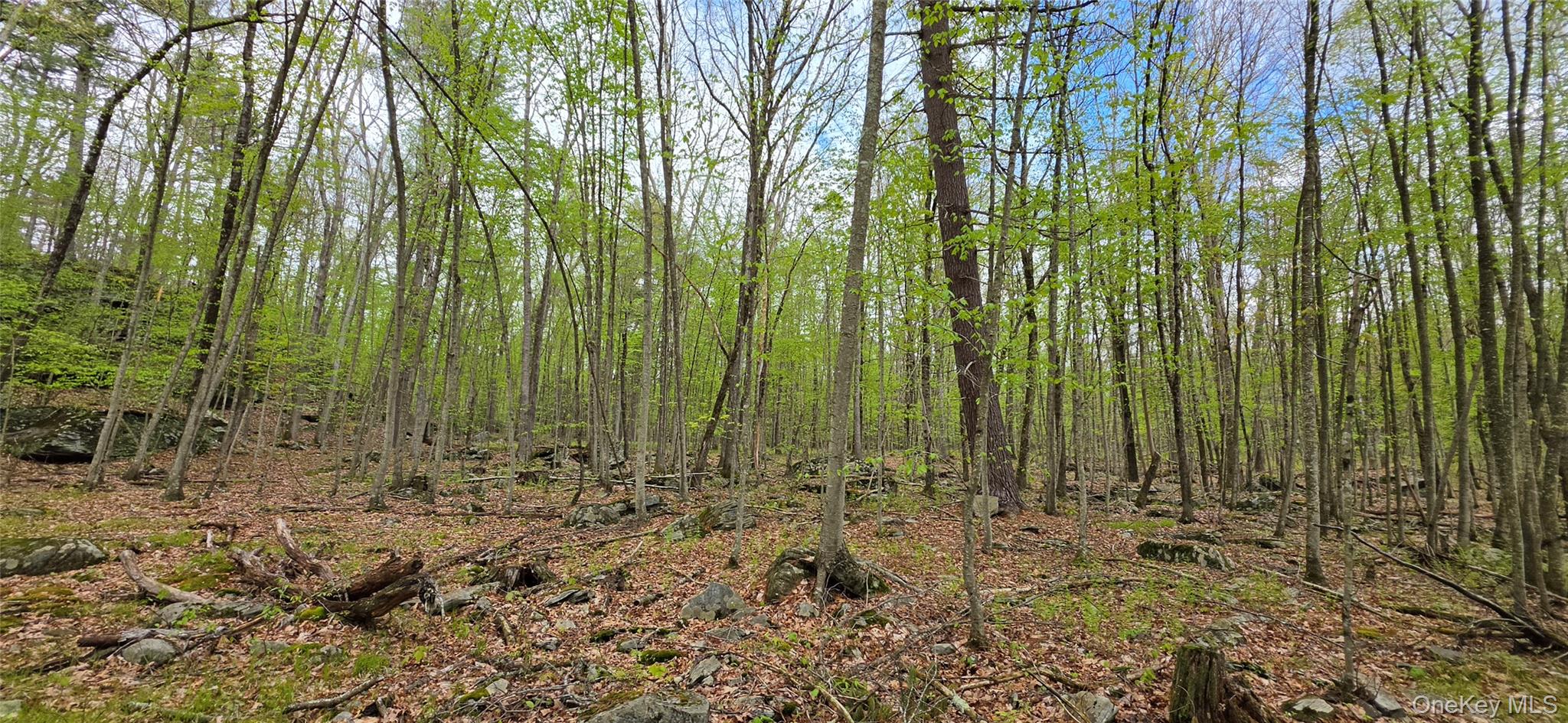 Lot 23.21 State Route 97 Property Photo 13