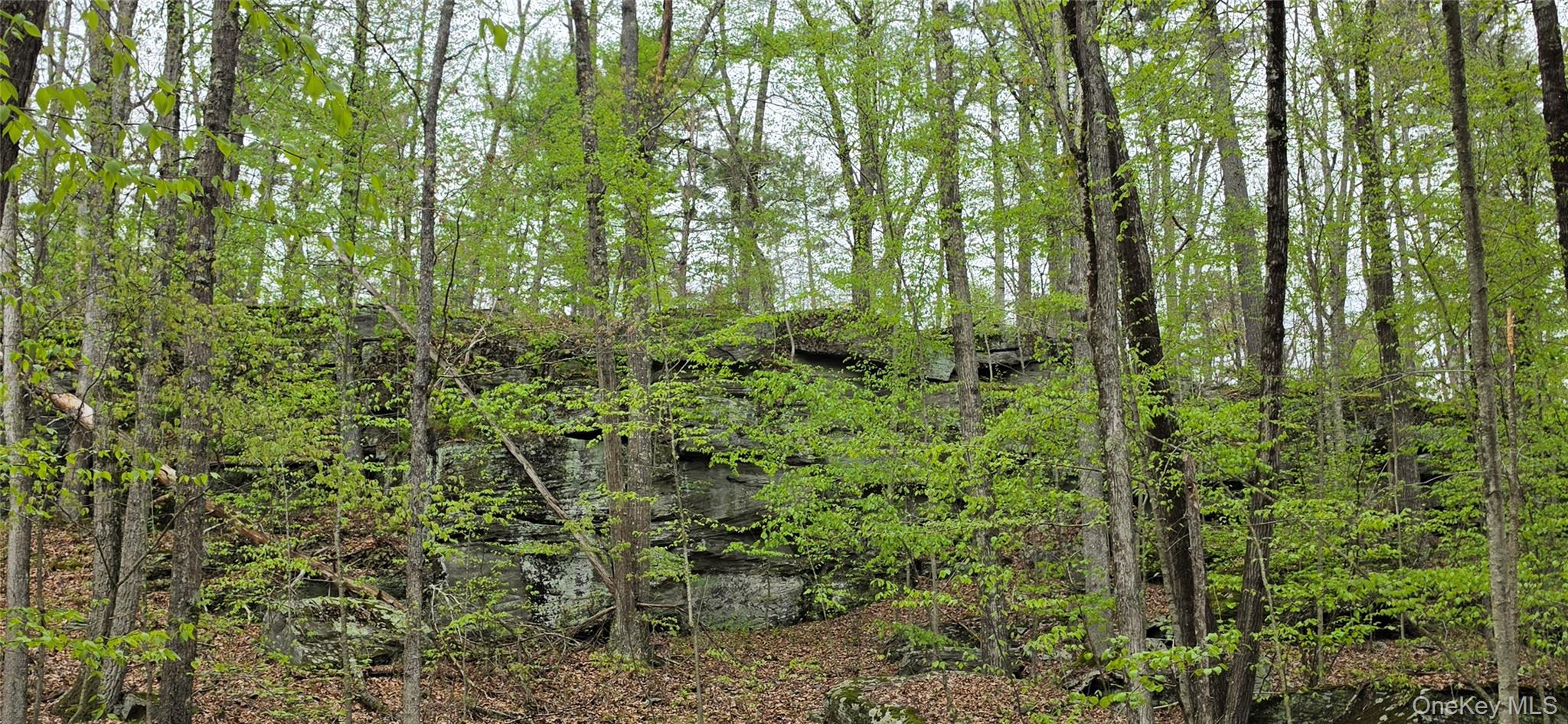 Lot 23.21 State Route 97 Property Photo 14