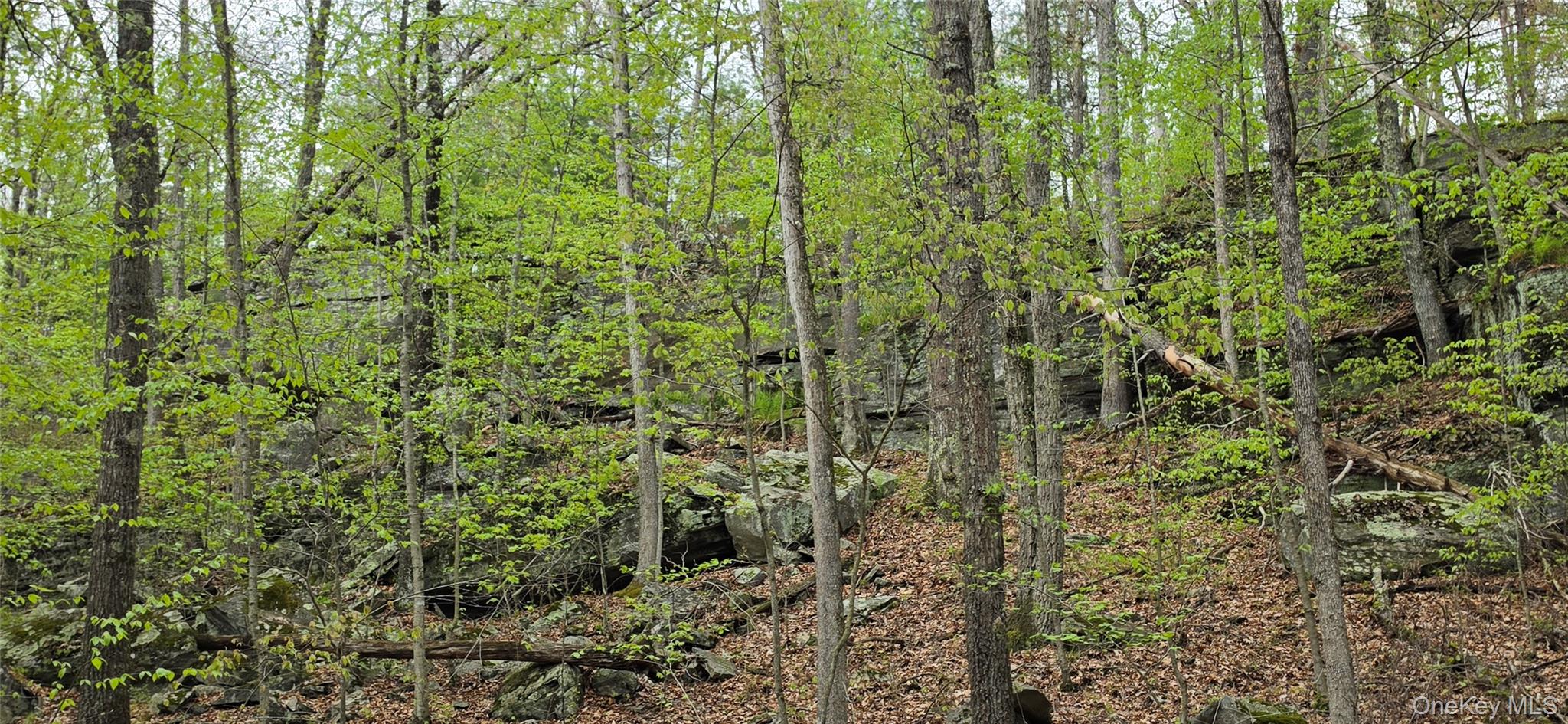 Lot 23.21 State Route 97 Property Photo 15