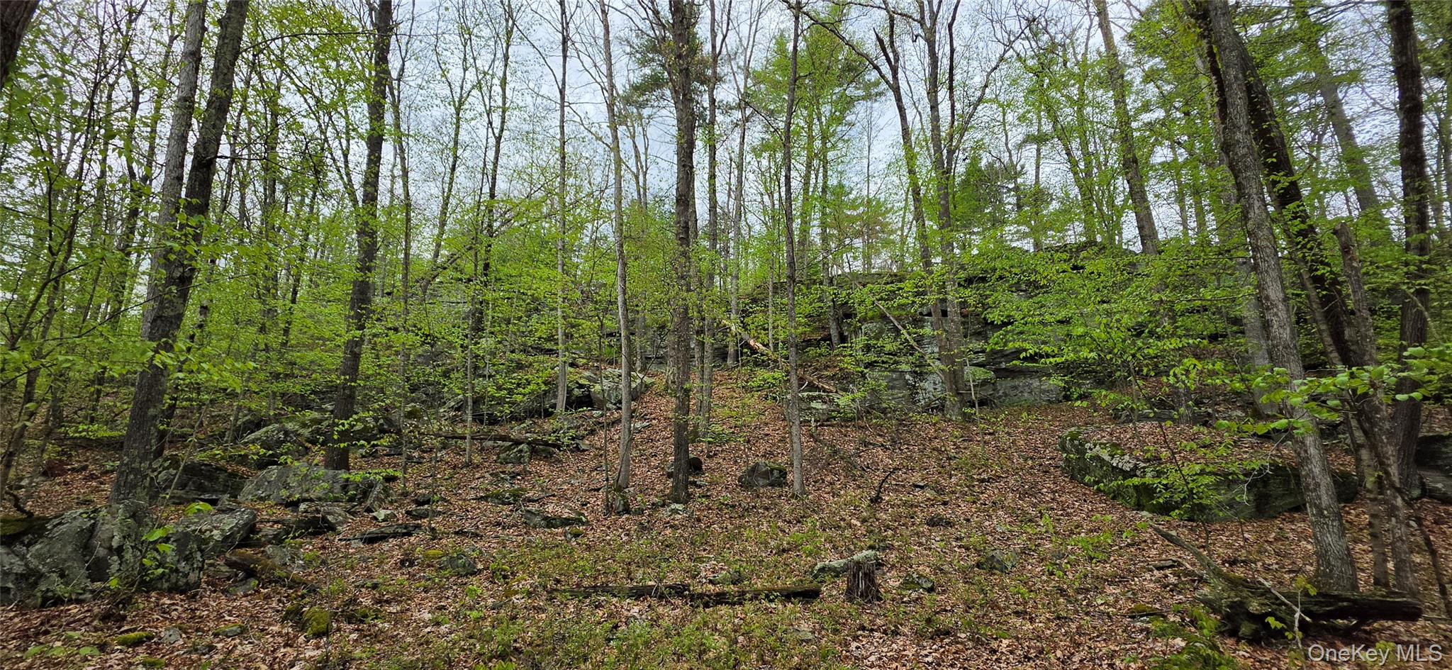 Lot 23.21 State Route 97 Property Photo 16