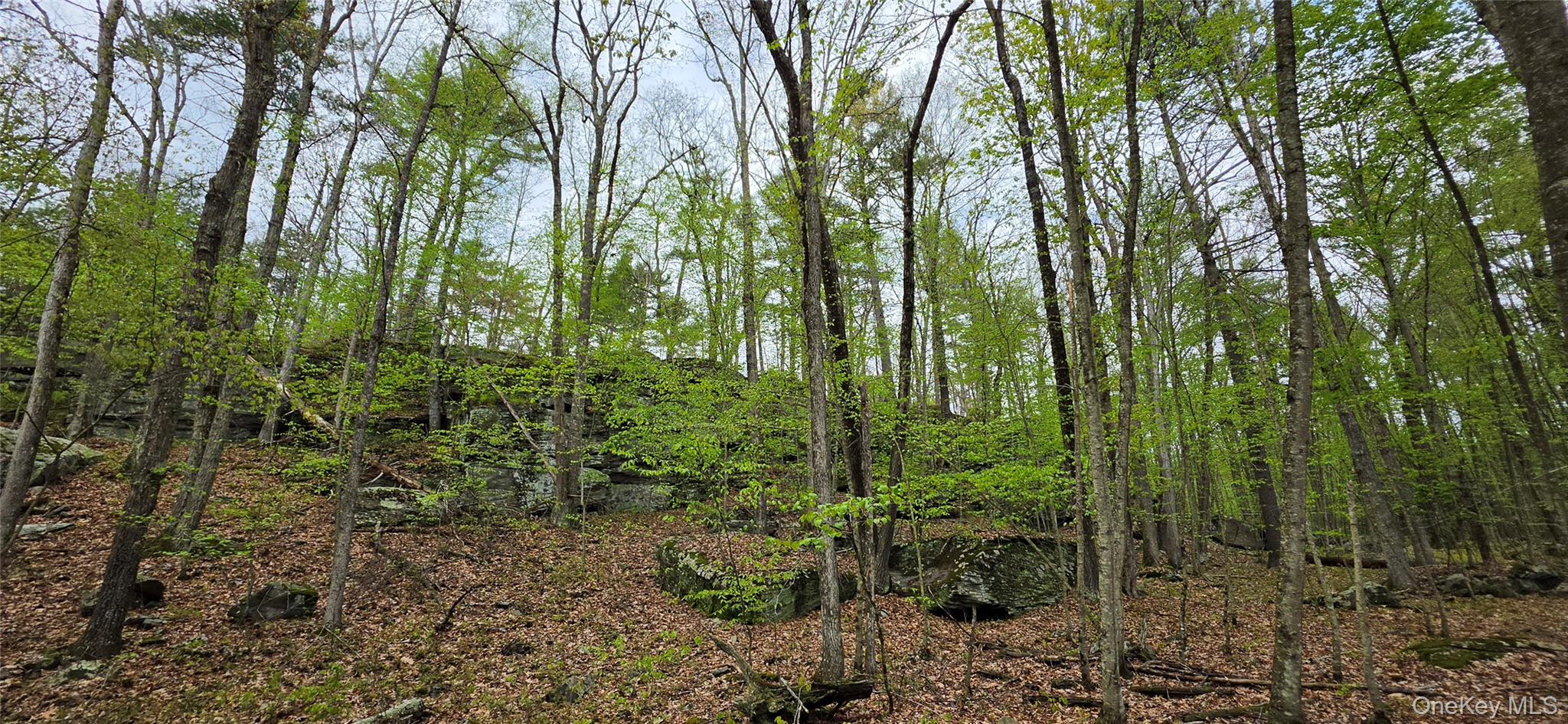 Lot 23.21 State Route 97 Property Photo 17
