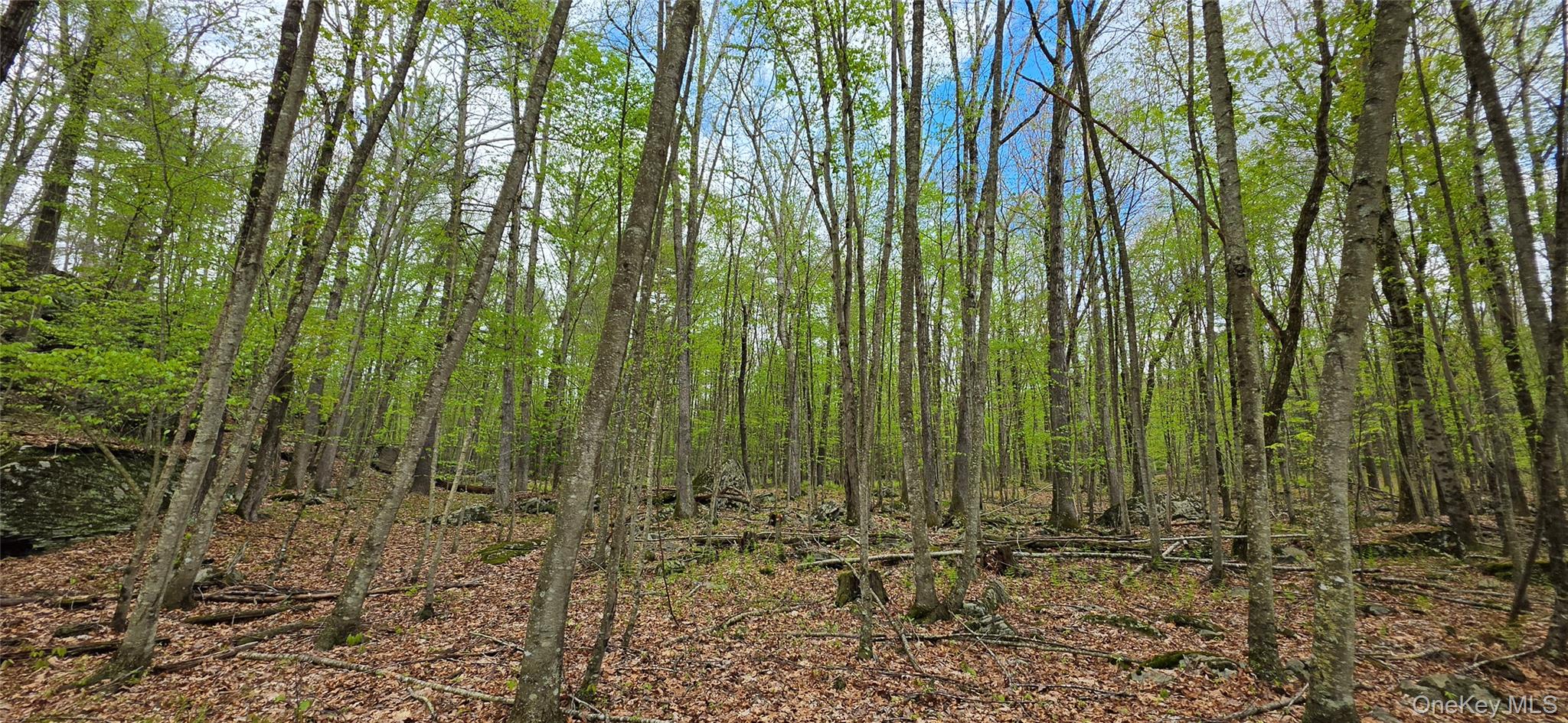 Lot 23.21 State Route 97 Property Photo 18