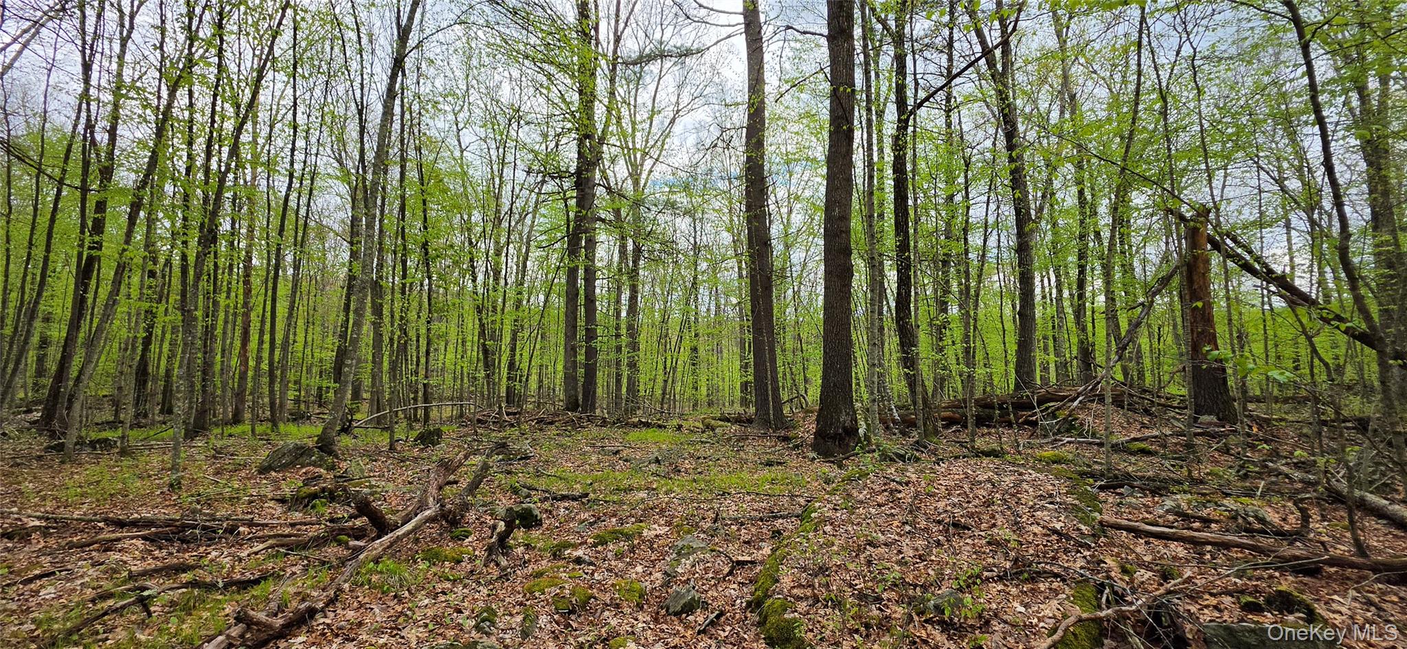 Lot 23.21 State Route 97 Property Photo 19