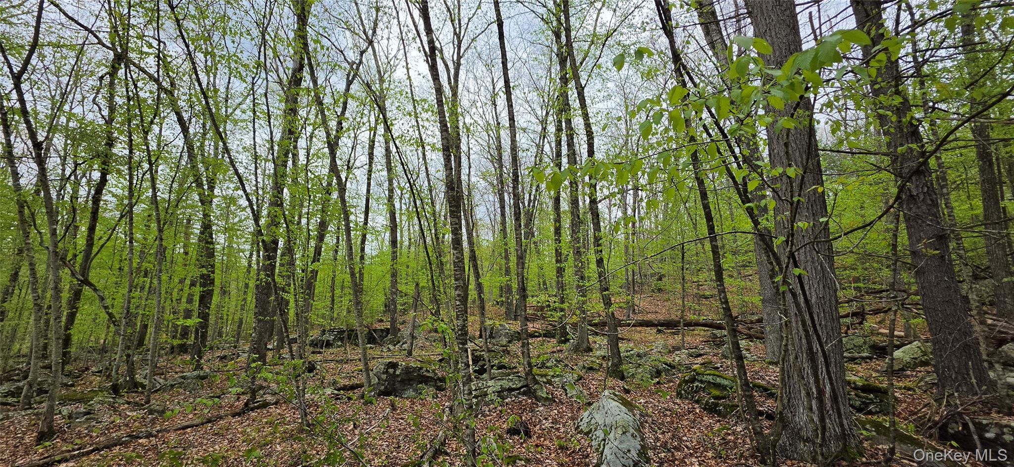 Lot 23.21 State Route 97 Property Photo 20