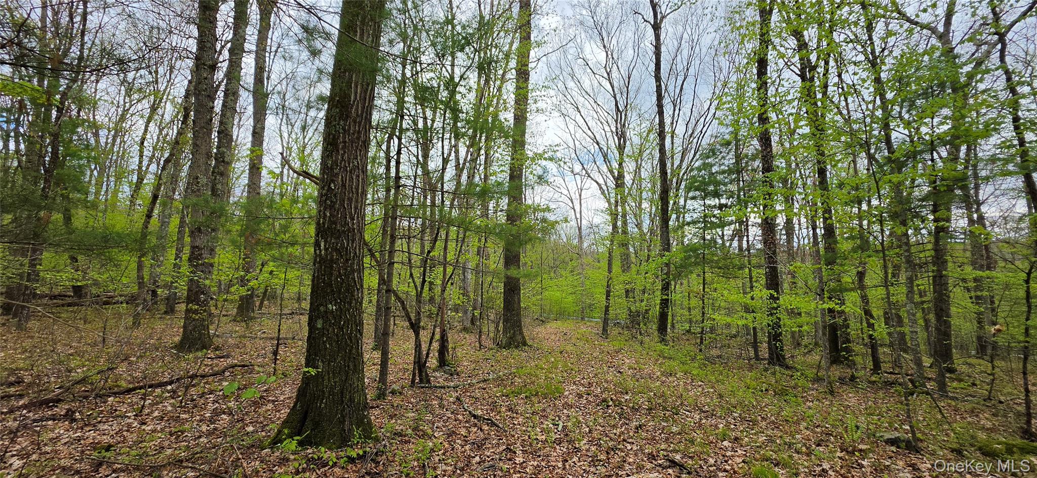 Lot 23.21 State Route 97 Property Photo 21