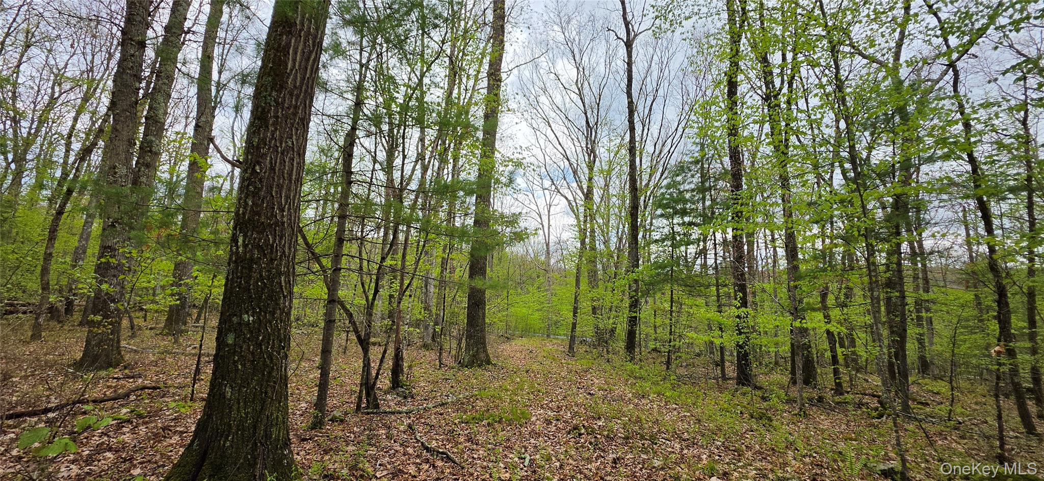 Lot 23.21 State Route 97 Property Photo 22