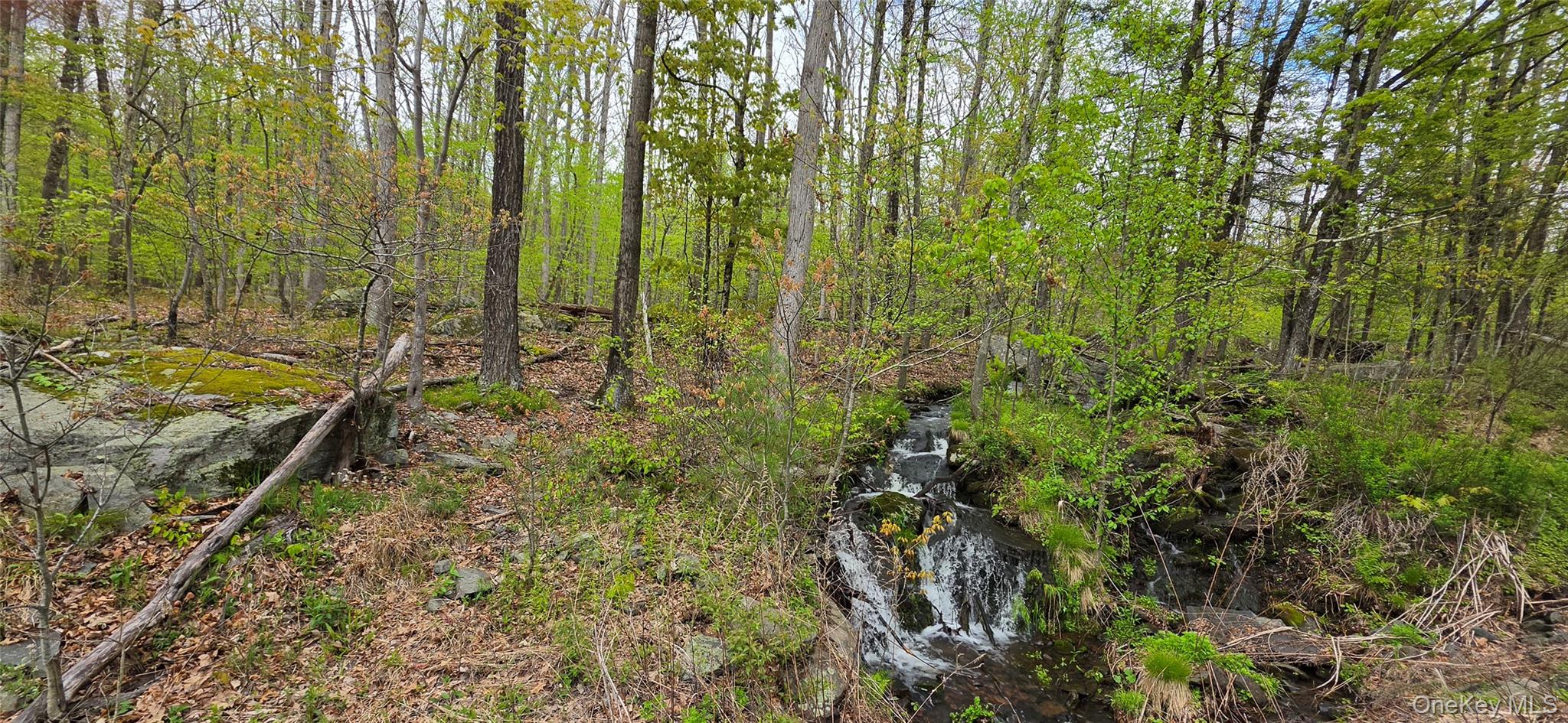 Lot 23.21 State Route 97 Property Photo 23