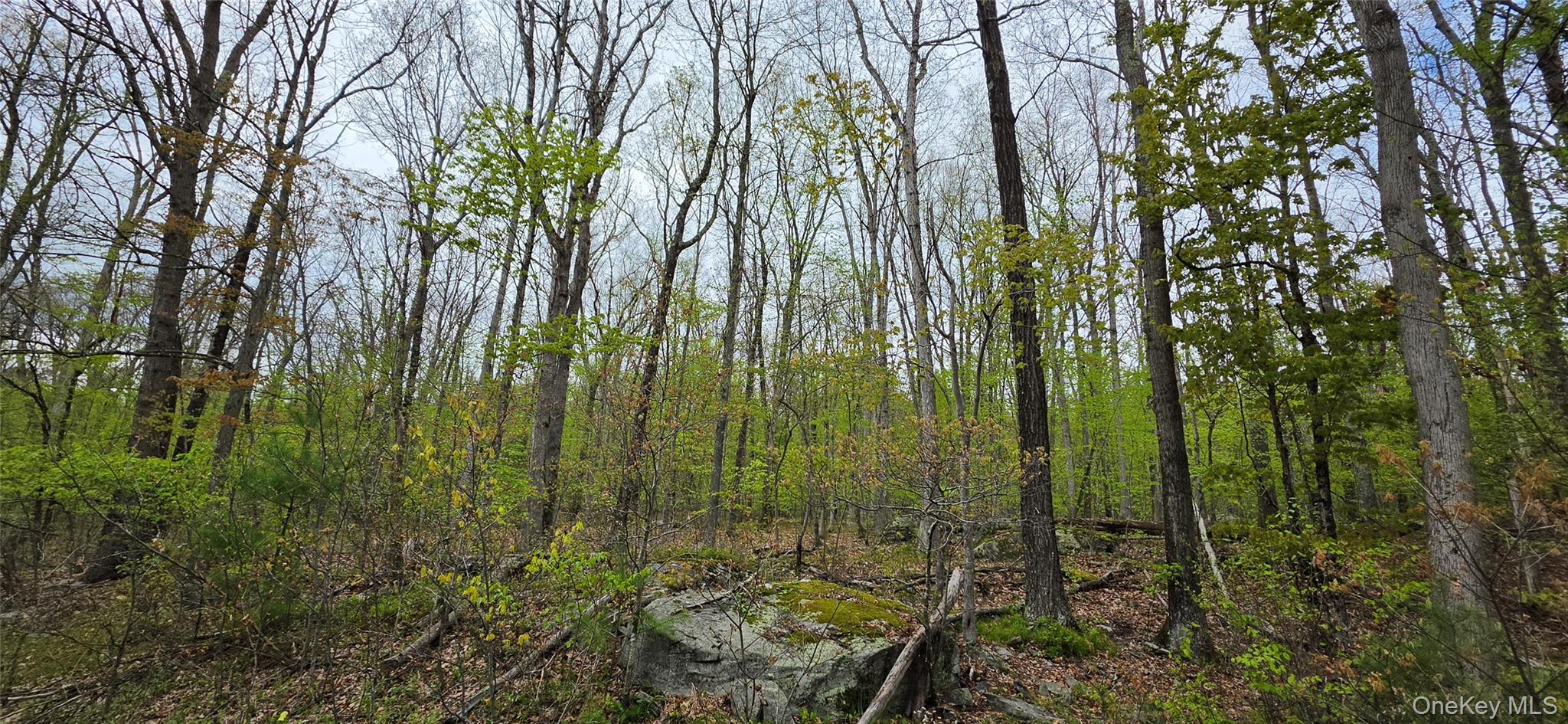 Lot 23.21 State Route 97 Property Photo 24