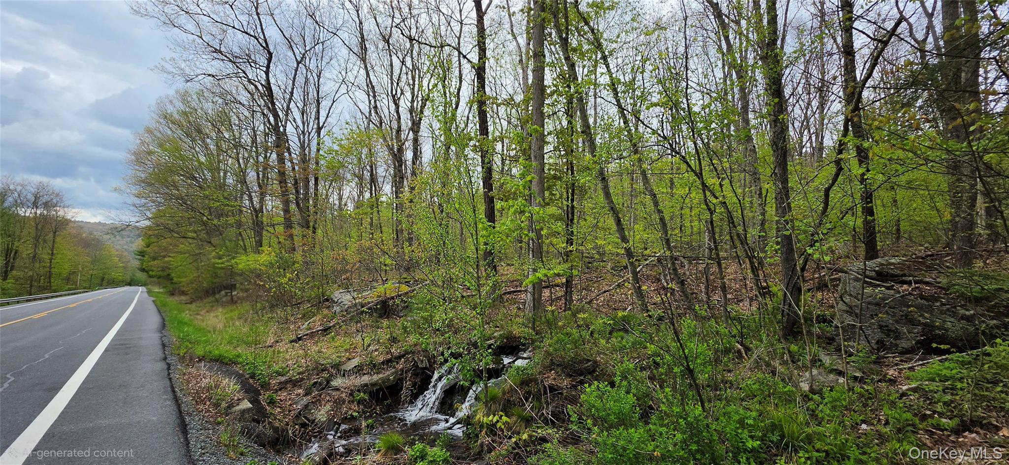 Lot 23.21 State Route 97 Property Photo 25