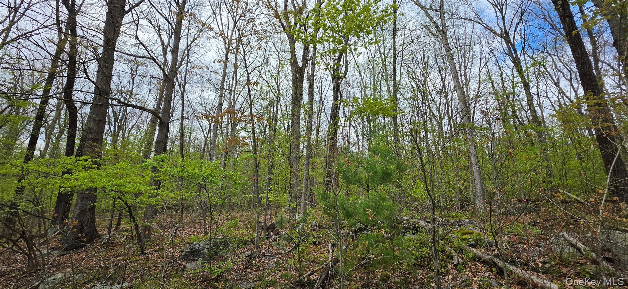 Lot 23.21 State Route 97 Property Photo 26