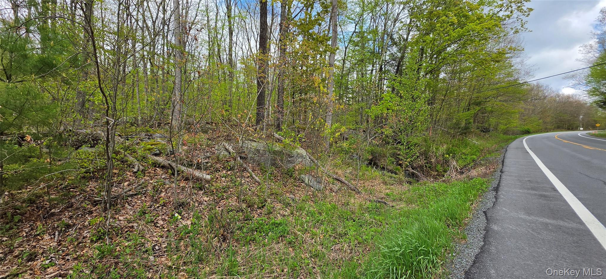 Lot 23.21 State Route 97 Property Photo 27
