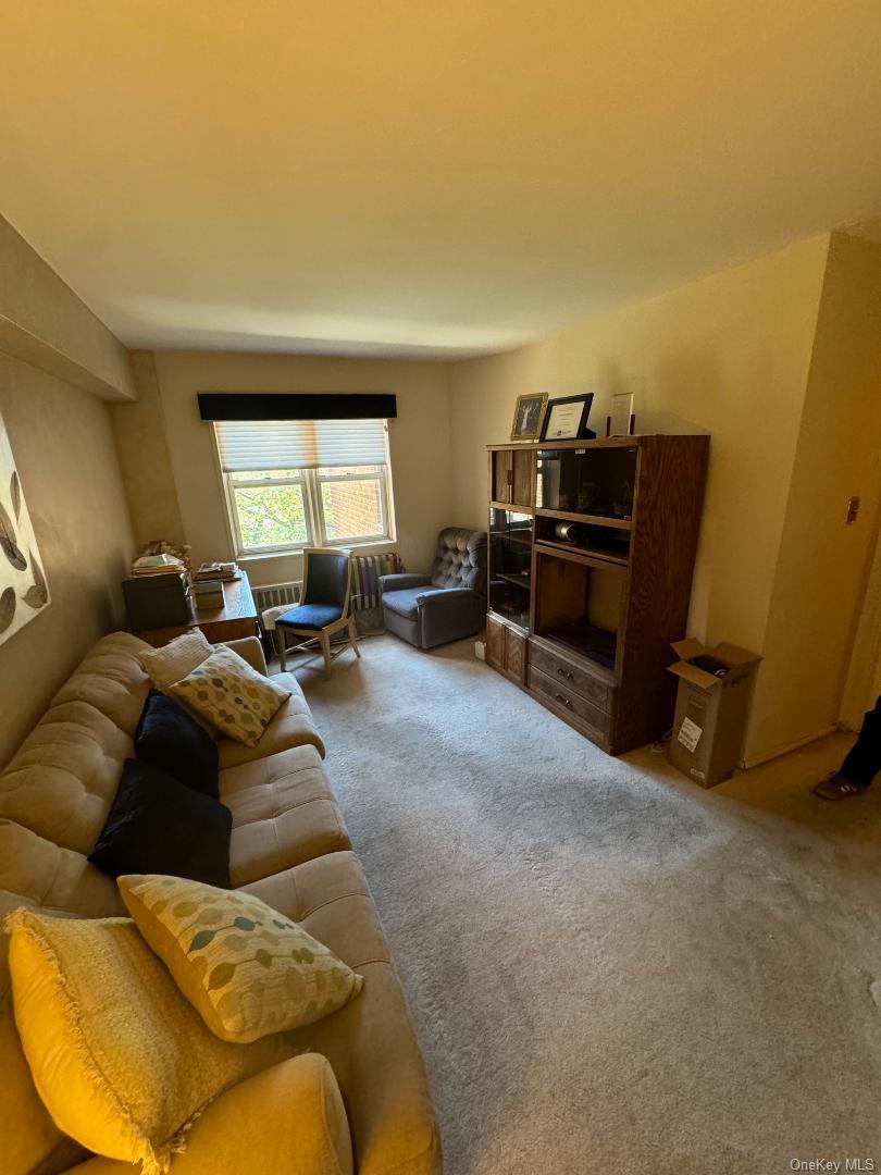 151-15 84th Street 3h Property Photo 19