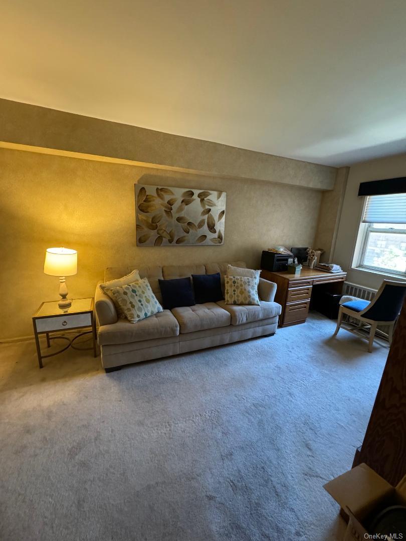 151-15 84th Street 3h Property Photo 20