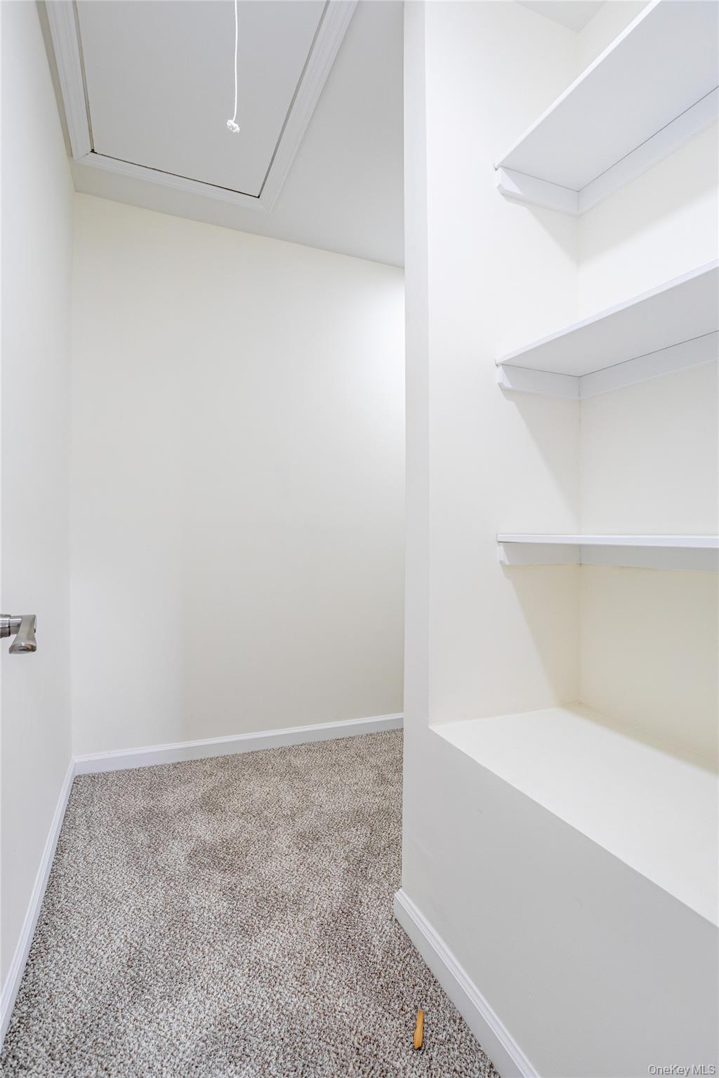 33 Marc Street Property Photo 19