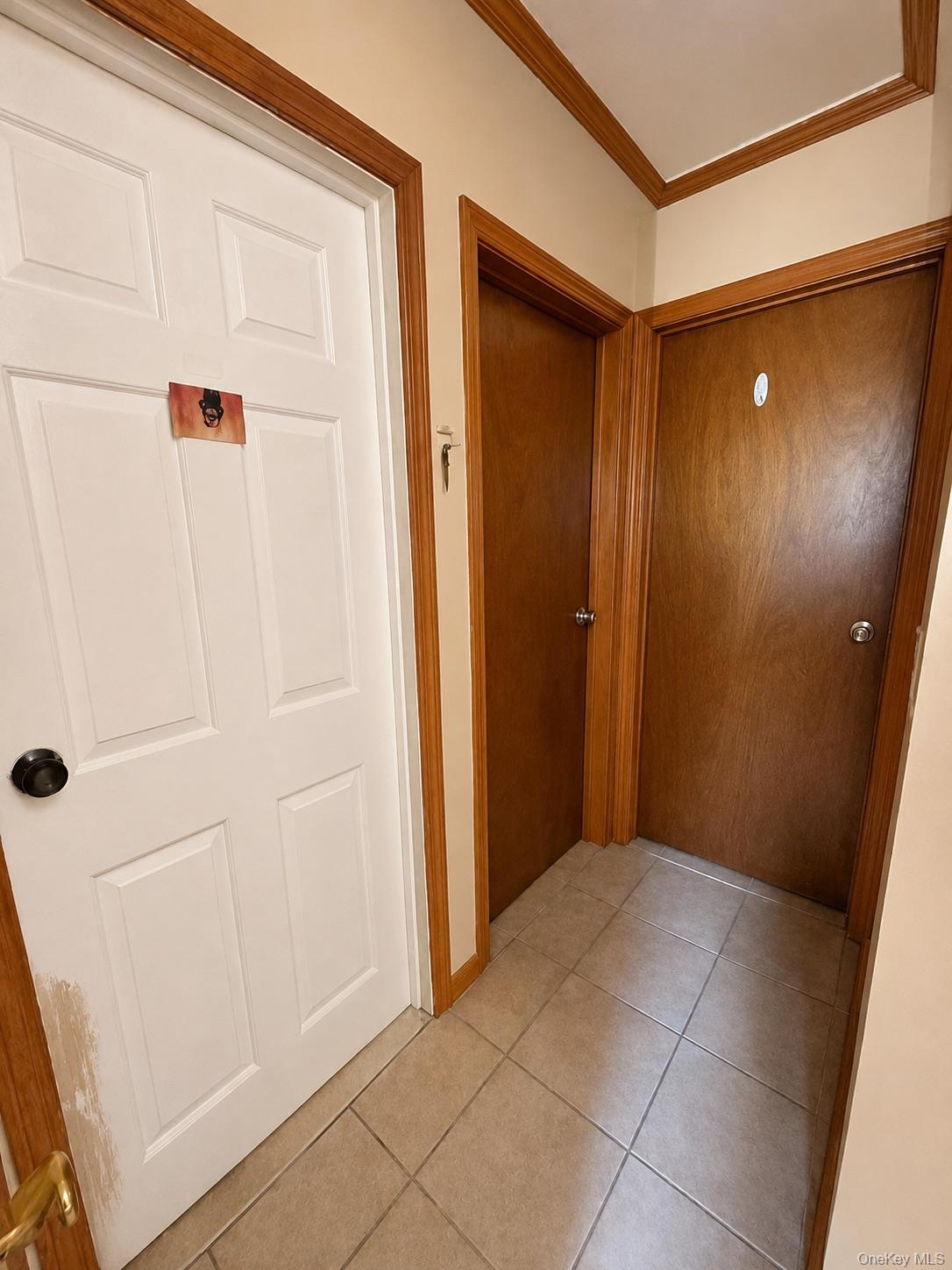 43 Morris Avenue Property Photo 10