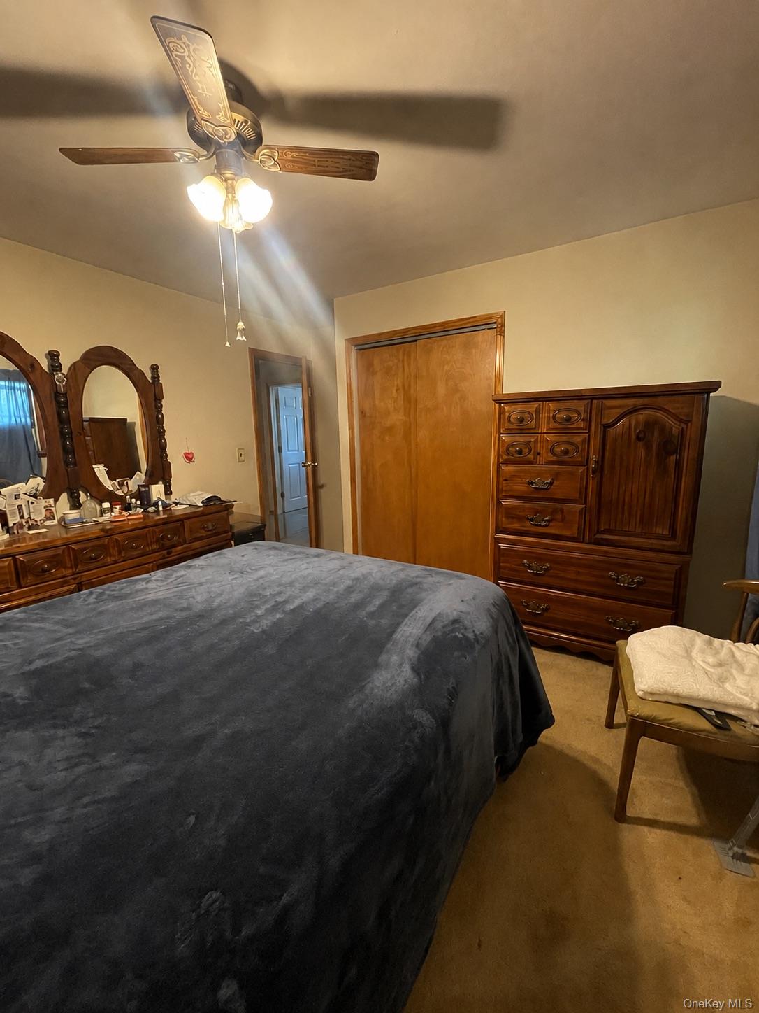 43 Morris Avenue Property Photo 14