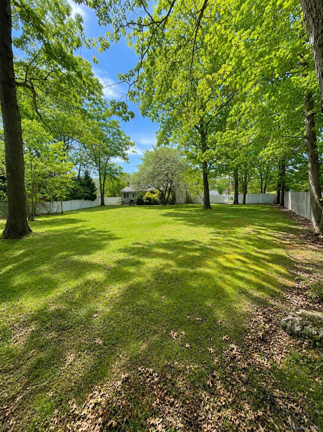 43 Morris Avenue Property Photo 22
