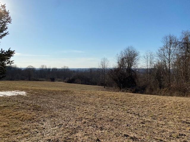 Lot 69.31 Liberty Corners Road Property Photo 5