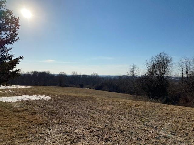 Lot 69.31 Liberty Corners Road Property Photo 6