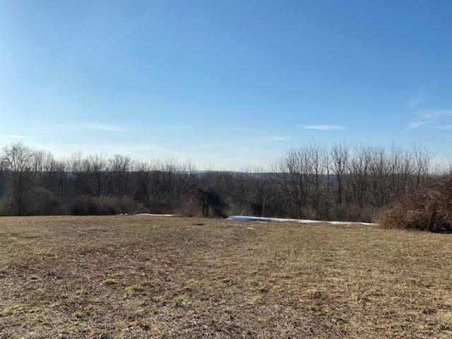 Lot 69.31 Liberty Corners Road Property Photo 7