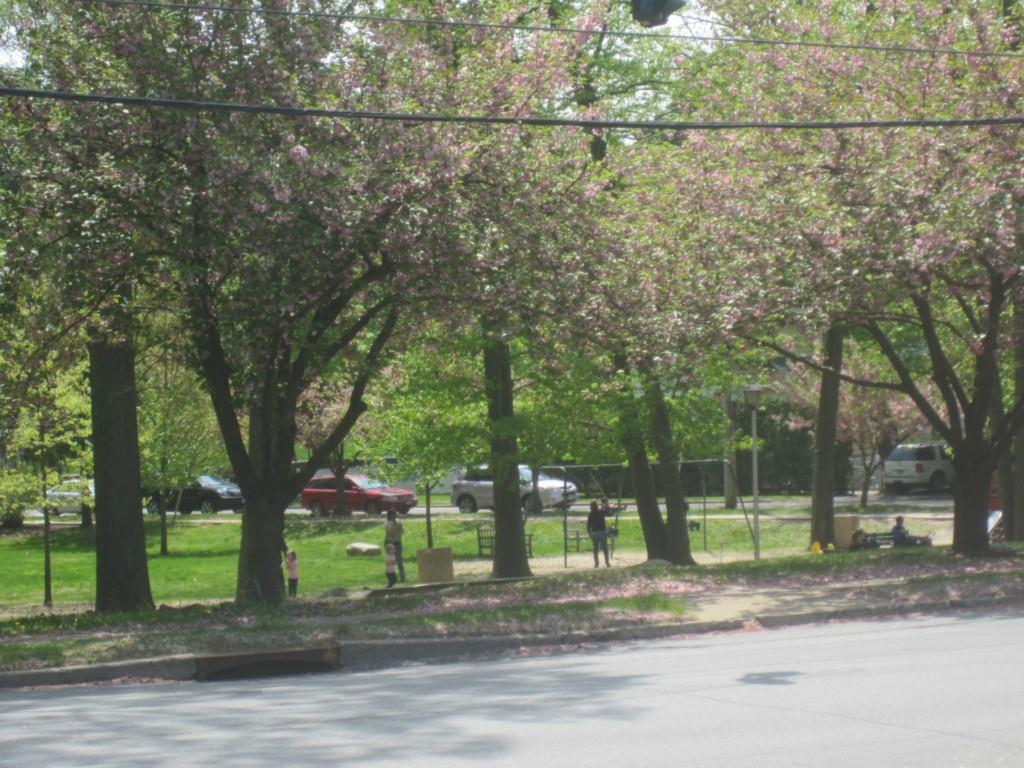 1815 Palmer Avenue Bb Property Photo 15