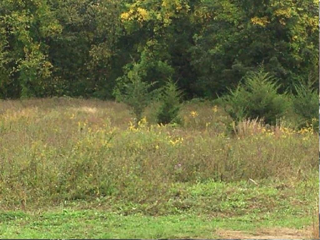 1055 Route 82 Property Photo 1