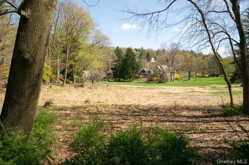 182 Tuxedo Road Property Photo 3