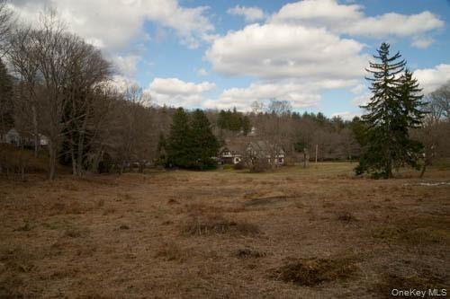 182 Tuxedo Road Property Photo 4