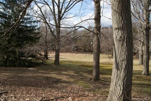 182 Tuxedo Road Property Photo 5