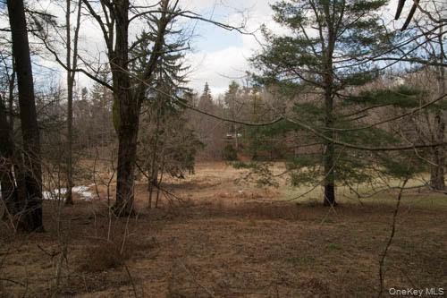 182 Tuxedo Road Property Photo 6