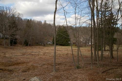 182 Tuxedo Road Property Photo 7