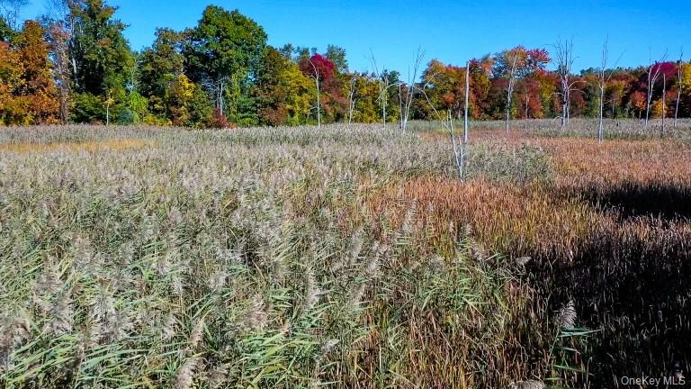 225 Route 22 Property Photo 7
