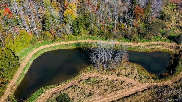 225 Route 22 Property Photo 9
