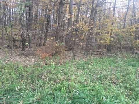 2452 Route 52 Property Photo 2