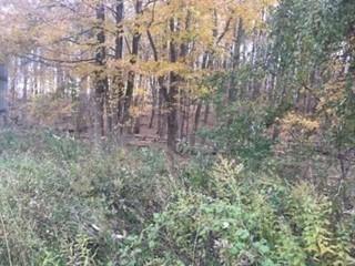 2452 Route 52 Property Photo 5