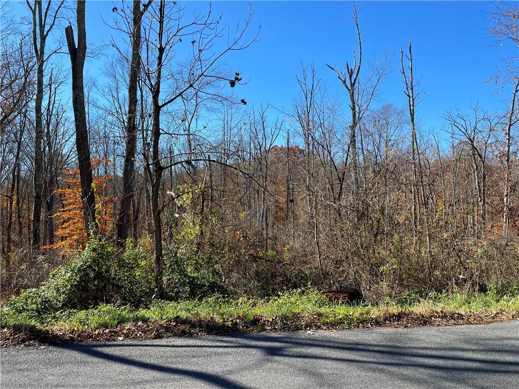 Lake Shore Drive Property Photo 1