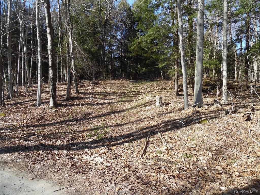 183 Revonah Hill Road Property Photo 3