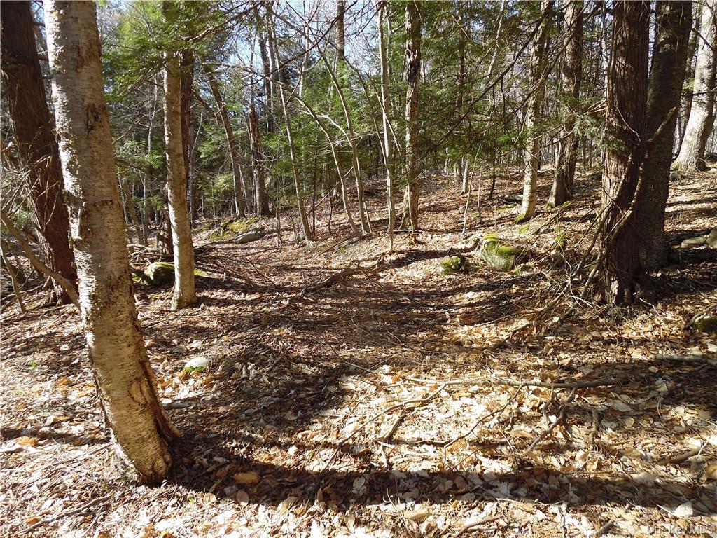 183 Revonah Hill Road Property Photo 4