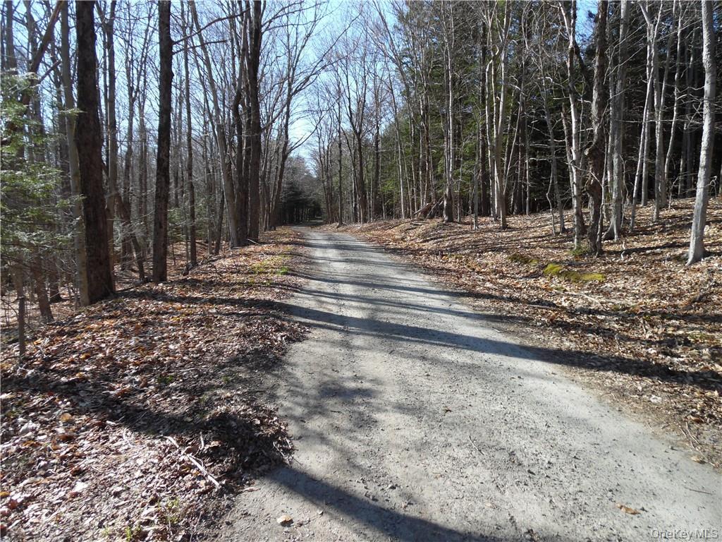 183 Revonah Hill Road Property Photo 5