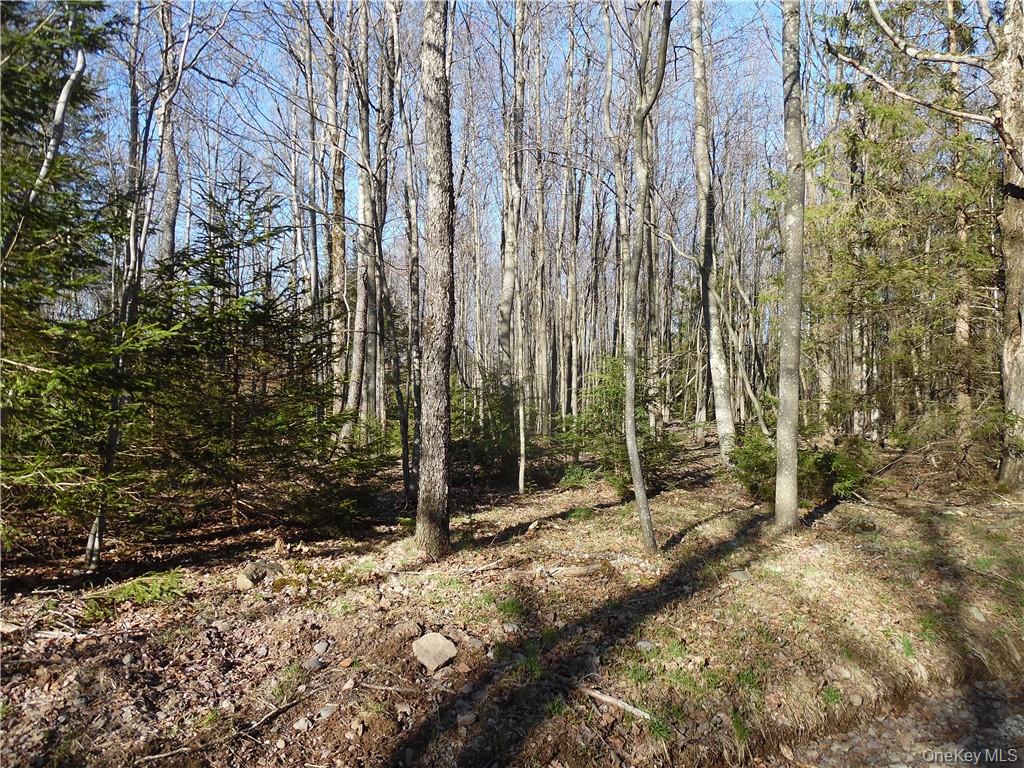 183 Revonah Hill Road Property Photo 6