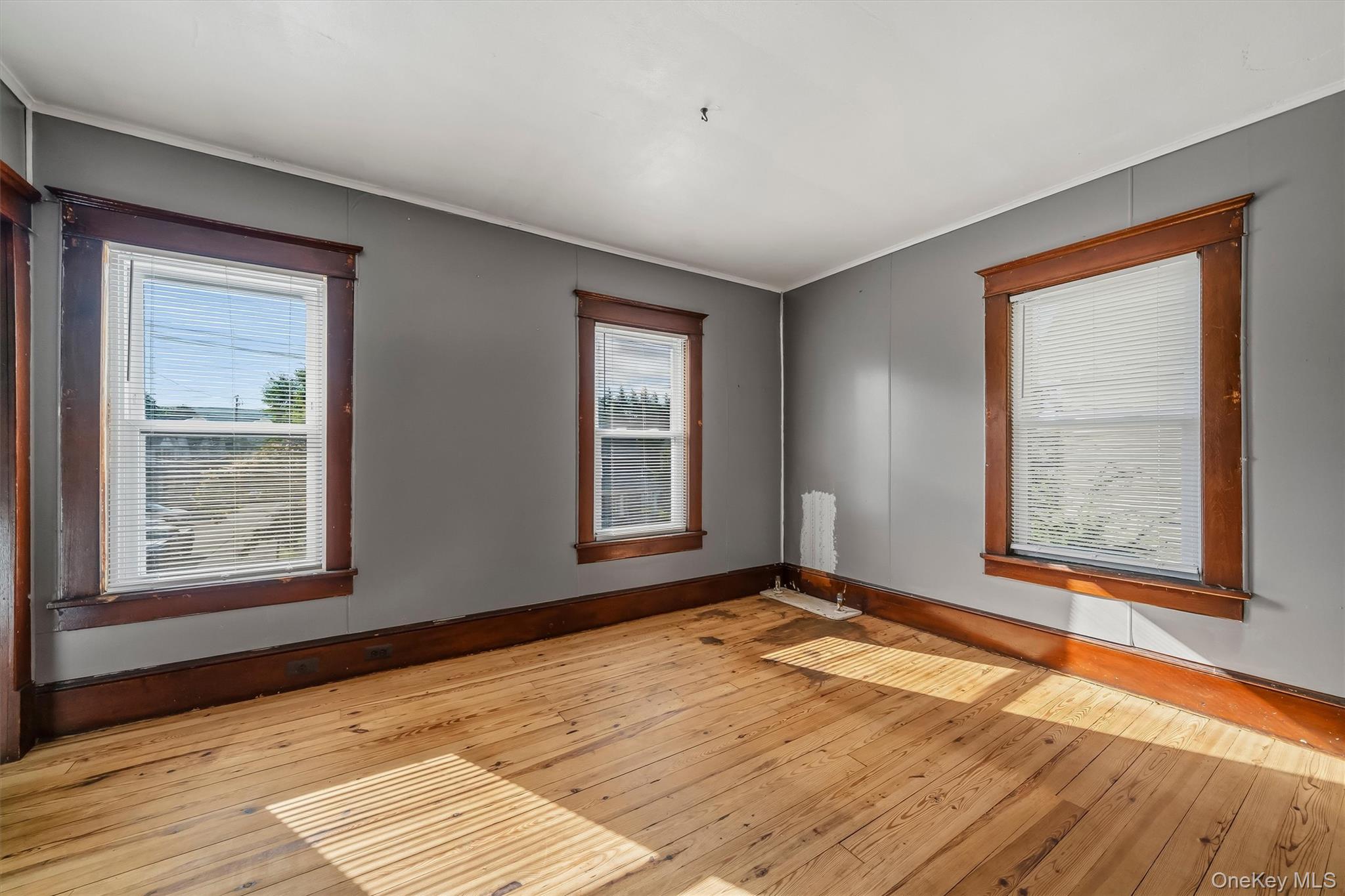 32 Kingston Avenue Property Photo 27