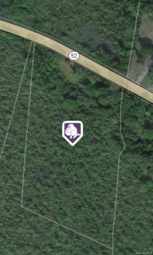 2396 Route 52 Property Photo 2