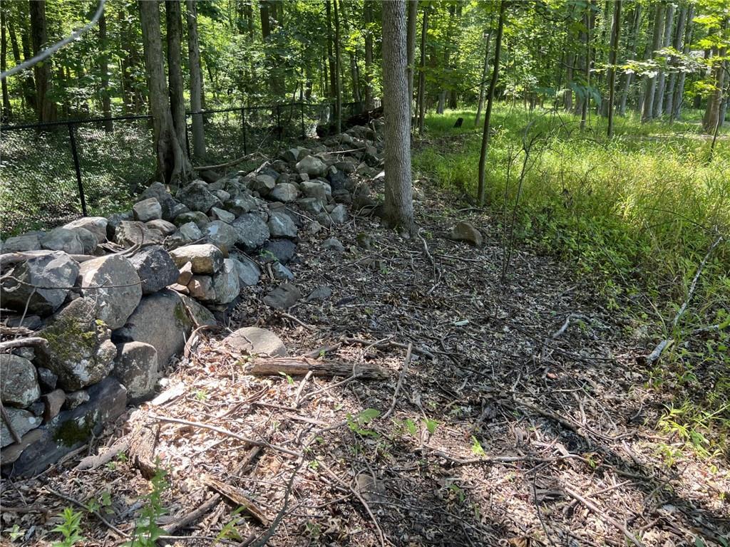 219 Route 9w Property Photo 5